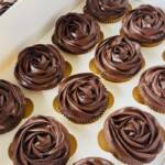 Chocolate Ganache Cupcakes